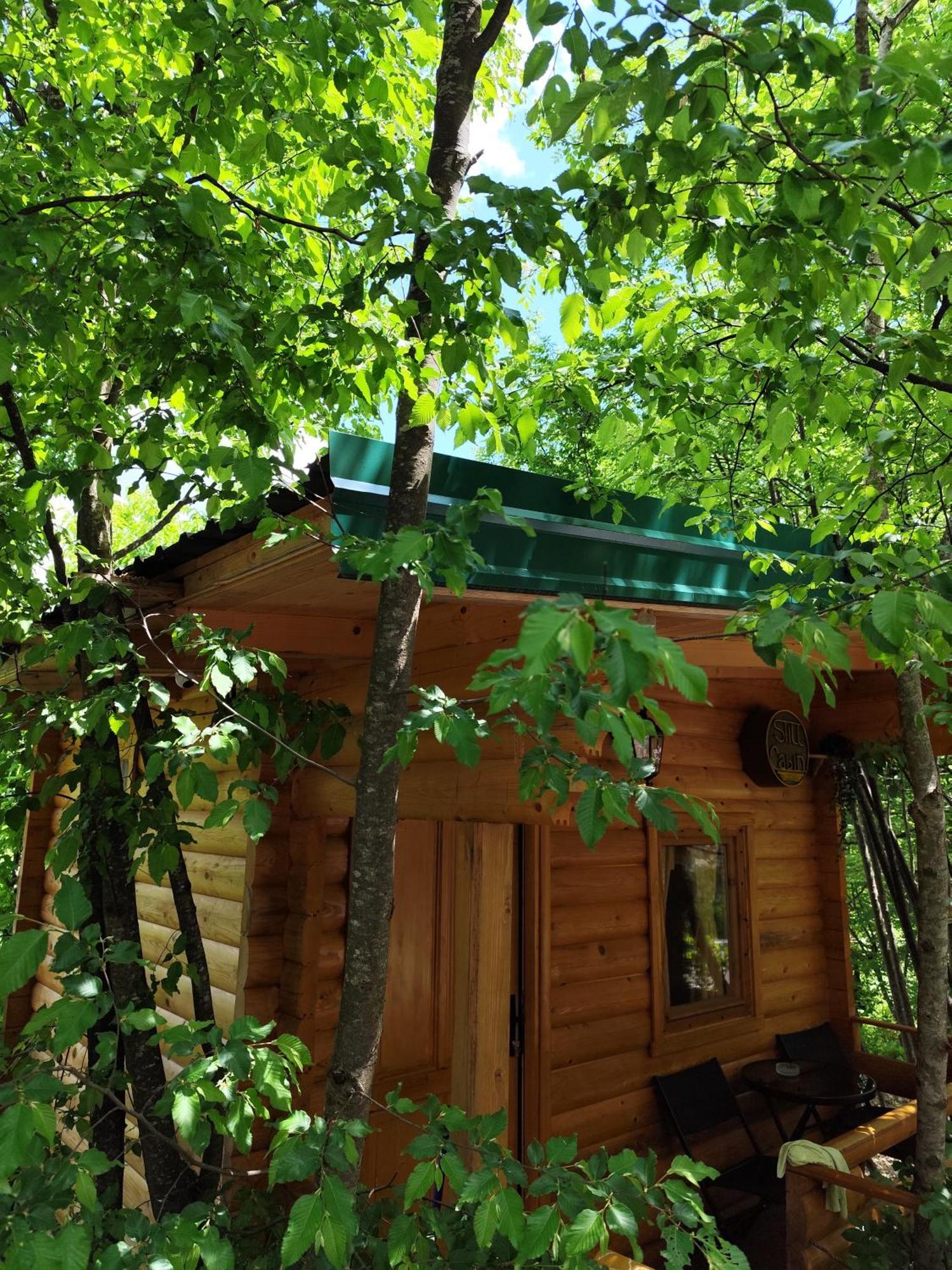 Still Cabin Cetinje Exterior photo