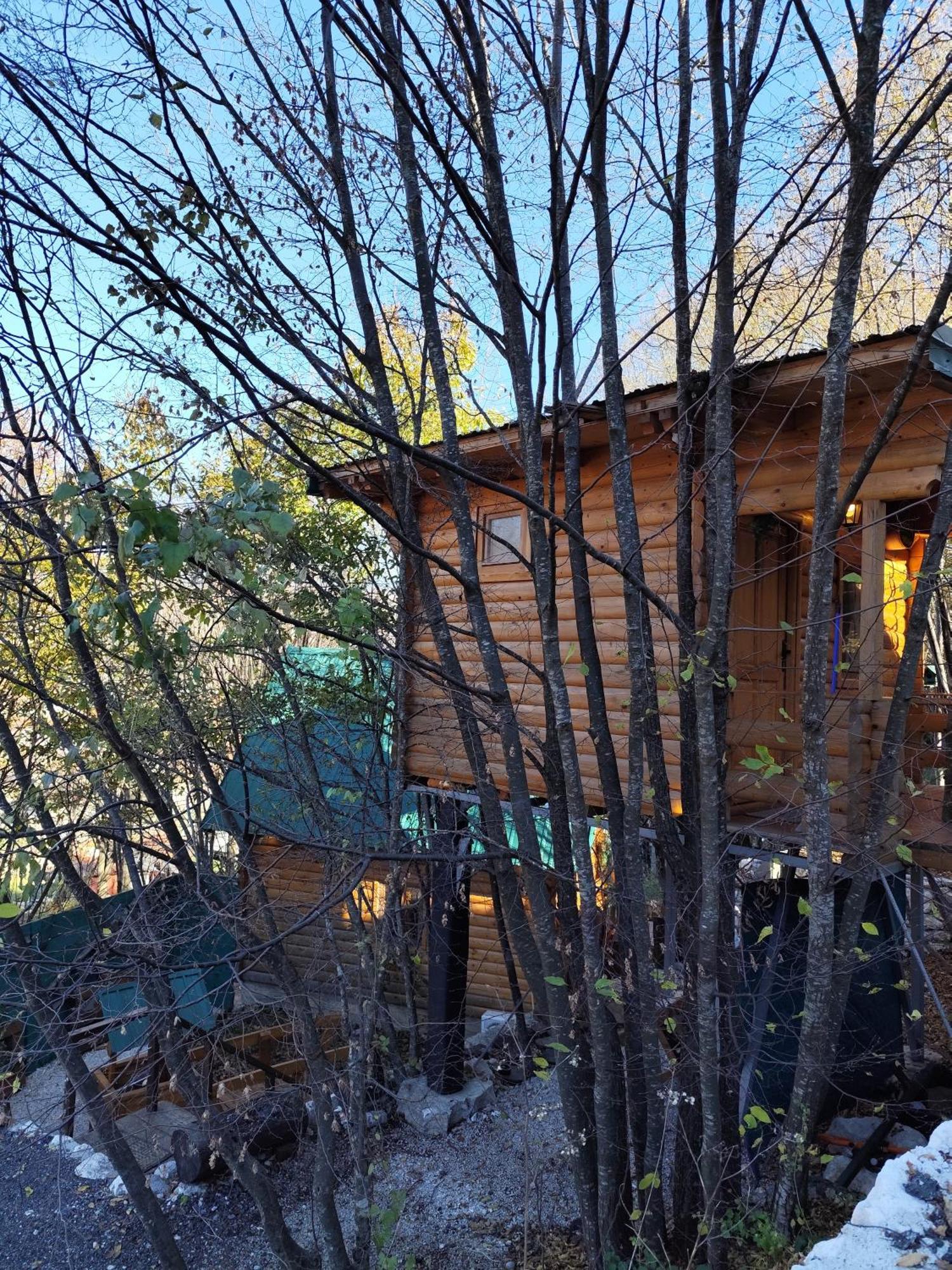 Still Cabin Cetinje Exterior photo